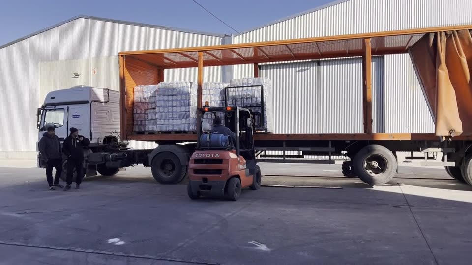 Autoelevador cargando pallets en un camión